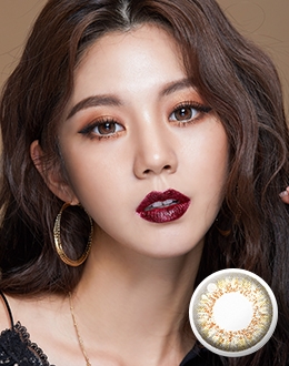 백투베이직 에비뉴 브라운