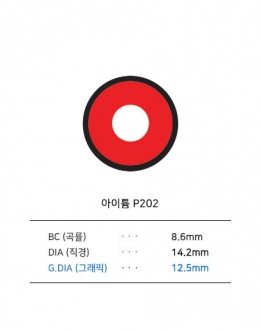 아이튬 P202