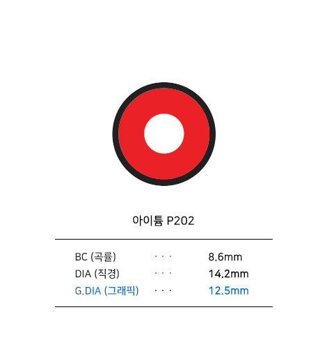 아이튬 P202