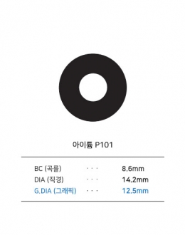 아이튬 P101