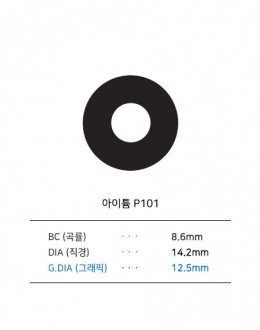 아이튬 P101