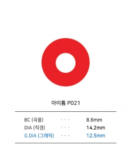 아이튬 P021