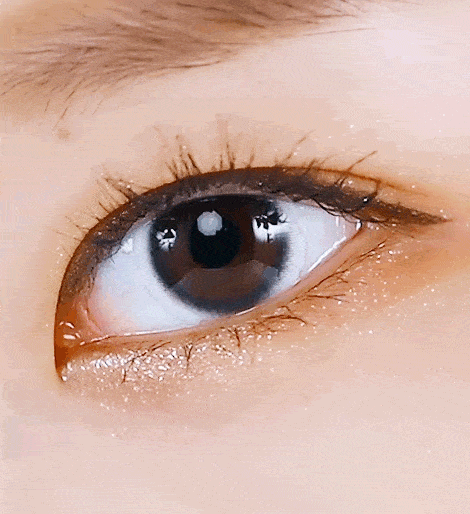 누디코코 블랙