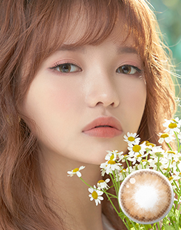 포코퐁 브라운