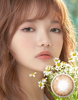 포코퐁 브라운