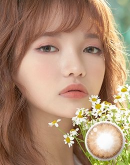 포코퐁 브라운