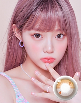 핫또 헤이즐초코