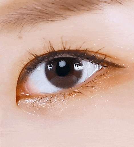 누디코코 원데이 브라운