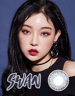 스완 그레이