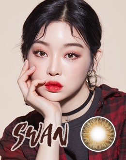스완 초코