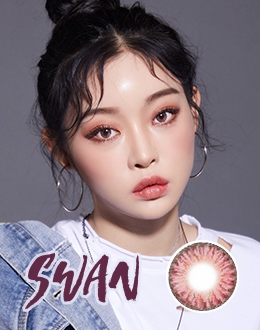 스완 핑크