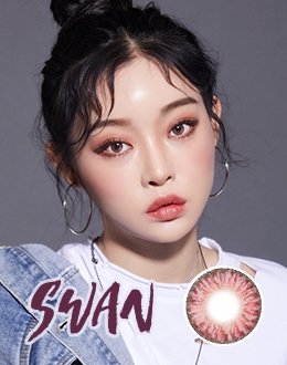 스완 핑크