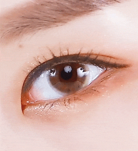 스틸라이트 브라운